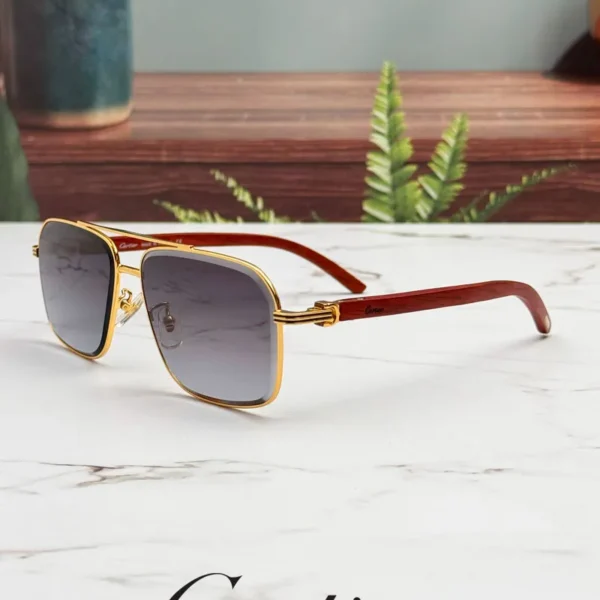 عینک دودی کارتیر مردانه Cartier Sunglasses CT0386