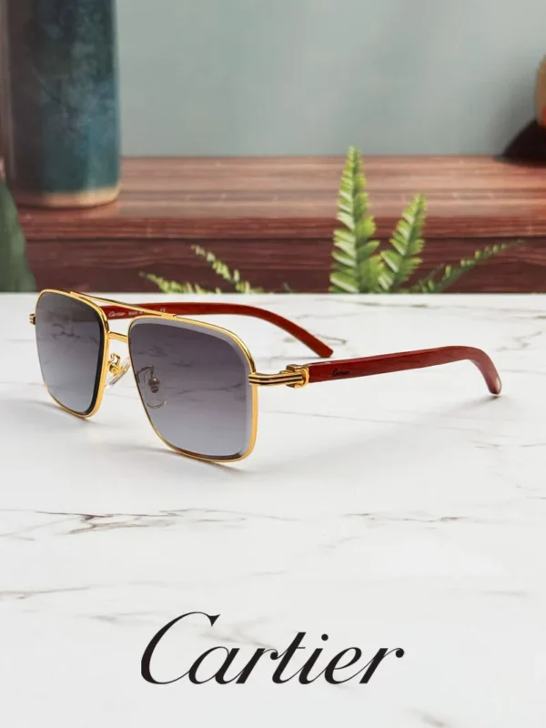 عینک دودی کارتیر مردانه Cartier Sunglasses CT0386